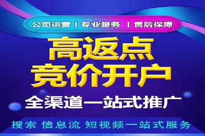 百度竞价托管公司案例分析：打造行业领军企业